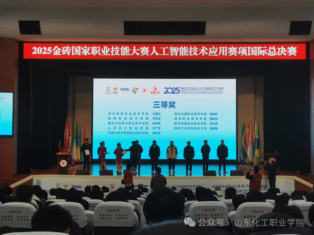 山东化工职业学院荣获国际总决赛三等奖